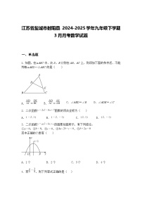 江苏省盐城市射阳县 2024-2025学年九年级下学期3月月考数学试题（含答案解析）