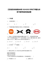 江苏省苏州市振华中学2024-2025学年下学期九年级下数学阶段性测试卷（含答案解析）