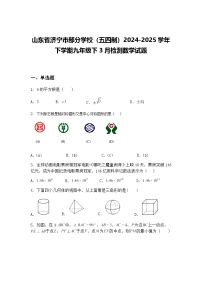 山东省济宁市部分学校（五四制）2024-2025学年下学期九年级下3月检测数学试题（含答案解析）
