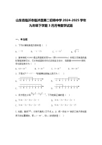 山东省临沂市临沭县第二初级中学2024-2025学年九年级下学期3月月考数学试题（含答案解析）