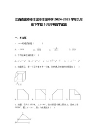 江西省宜春市丰城市丰城中学2024-2025学年九年级下学期3月月考数学试题（含答案解析）