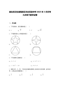 湖北武汉东湖高新区光谷实验中学2025年3月月考九年级下数学试卷（含答案解析）