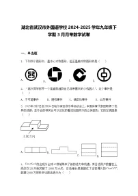 湖北省武汉市外国语学校2024-2025学年九年级下学期3月月考数学试卷（含答案解析）