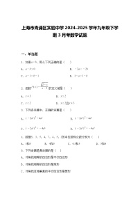 上海市青浦区实验中学2024-2025学年九年级下学期3月考数学试题（含答案解析）