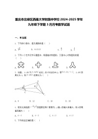 重庆市北碚区西南大学附属中学校2024-2025学年九年级下学期3月月考数学试题（含答案解析）