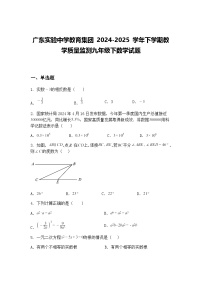 广东实验中学教育集团 2024-2025 学年下学期教学质量监测九年级下数学试题（含答案解析）