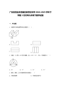 广东省茂名市茂南区新世纪中学2024-2025学年下学期3月月考九年级下数学试题（含答案解析）