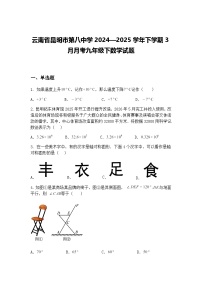 云南省昆明市第八中学2024—2025学年下学期3月月考九年级下数学试题（含答案解析）