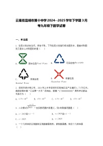 云南省昆明市第十中学2024--2025学年下学期3月考九年级下数学试卷（含答案解析）