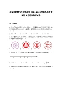 山东省日照市日照港中学2024-2025学年九年级下学期3月月考数学试卷（含答案解析）