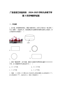 广东省湛江市雷州市 2024-2025学年九年级下学期3月月考数学试题（含答案解析）