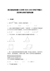 浙江省杭州市第十三中学2024-2025学年下学期3月月考九年级下数学试卷（含答案解析）