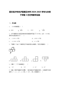 四川省泸州市泸县第五中学2024-2025学年九年级下学期3月月考数学试题（含答案解析）