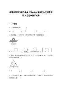 福建省厦门市第三中学2024-2025学年九年级下学期3月月考数学试卷（含答案解析）