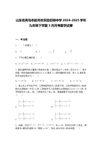 山东省青岛市胶州市实验初级中学2024-2025学年九年级下学期3月月考数学试卷（含答案解析）