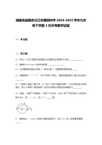 湖南省益阳市沅江市第四中学2024-2025学年九年级下学期3月月考数学试题（含答案解析）