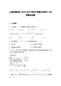 上海市普陀区2024-2025学年下学期九年级下3月考数学试卷（含答案解析）