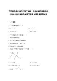 江苏省泰州市靖江市滨江学校、兴化市明升实验学校2024-2025学年九年级下学期3月月考数学试题（含答案解析）