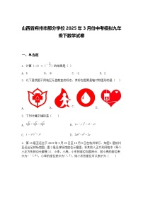 山西省朔州市部分学校2025年3月份中考模拟九年级下数学试卷（含答案解析）