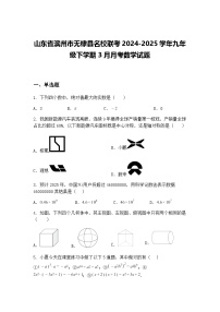 山东省滨州市无棣县名校联考2024-2025学年九年级下学期3月月考数学试题（含答案解析）
