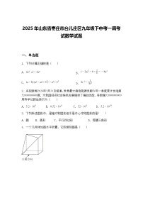 2025年山东省枣庄市台儿庄区九年级下中考一调考试数学试题（含答案解析）