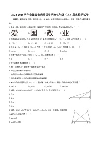 2024-2025学年安徽省安庆外国语学校七年级（上）期末数学试卷-自定义类型