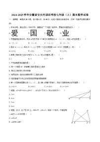 2024-2025学年安徽省安庆外国语学校七年级（上）期末数学试卷-自定义类型