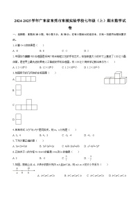 2024-2025学年广东省东莞市东城实验学校七年级（上）期末数学试卷-自定义类型