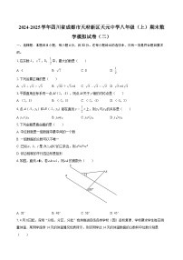 2024-2025学年四川省成都市天府新区天元中学八年级（上）期末数学模拟试卷（二）-自定义类型
