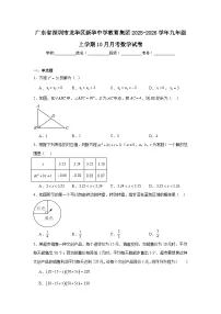2025-2026学年广东省深圳市龙华区新华中学教育集团九年级上学期10月月考数学试卷