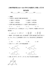 2025-2026学年上海市闵行区莘城学校九年级数学上学期10月月考数学试题