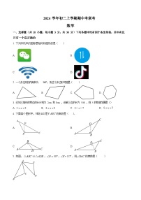 广东省广州市第六中学2024~2025学年上学期八年级数学期中考试试卷（含答案）