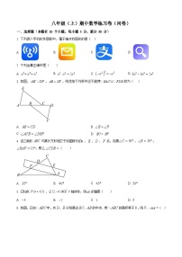 广东省广州市第十六中学2024-2025学年八年级上学期期中考试数学试题（含答案）