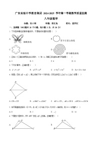 广东省广州市广东实验中学2024—2025学年上学期八年级数学期中考试卷（含答案）