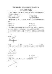 山东省聊城市2025-2026学年八年级上学期10月月考数学试题（学生版）