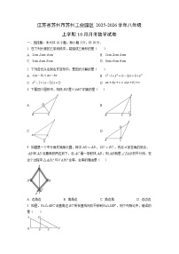 江苏省苏州市苏州工业园区2025-2026学年八年级上学期10月月考数学试题（学生版）