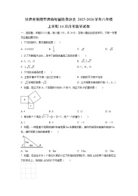 甘肃省张掖市肃南裕固族自治县2025-2026学年八年级上学期10月月考数学试题（学生版）