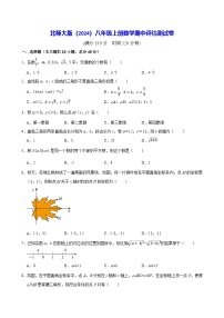 北师大版（2024）八年级上册数学期中评估测试卷（含答案）