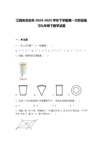 江西省吉安市2024-2025学年下学期第一次阶段练习九年级下数学试题（含答案解析）