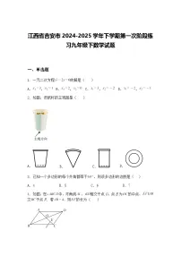江西省吉安市2024-2025学年下学期第一次阶段练习九年级下数学试题（含答案解析）