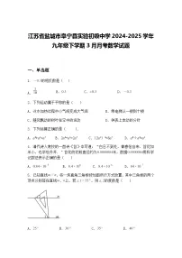江苏省盐城市阜宁县实验初级中学2024-2025学年九年级下学期3月月考数学试题（含答案解析）