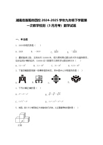 湖南省衡阳市四校2024-2025学年九年级下学期第一次教学检测（3月月考）数学试题（含答案解析）