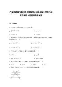 广东省茂名市高州市十校联考2024-2025学年九年级下学期3月月考数学试题（含答案解析）