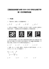 江西省吉安市第八中学2024-2025学年九年级下学期3月月考数学试题（含答案解析）