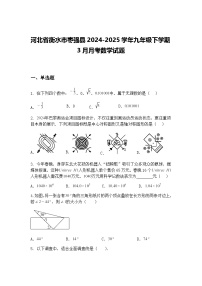 河北省衡水市枣强县2024-2025学年九年级下学期3月月考数学试题（含答案解析）