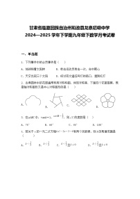 甘肃省临夏回族自治州和政县龙泉初级中学2024—2025学年下学期九年级下数学月考试卷（含答案解析）