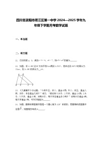 四川省资阳市雁江区第一中学2024—2025学年九年级下学期月考数学试题（含答案解析）