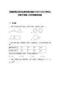 河南省周口市沈丘县中英文等校2024-2025学年九年级下学期3月月考数学试题（含答案解析）
