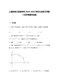 上海市育才初级中学2024-2025学年九年级下学期3月月考数学试题（含答案解析）