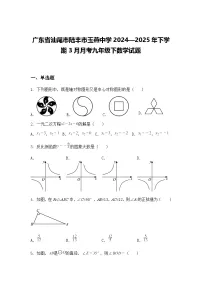 广东省汕尾市陆丰市玉燕中学2024—2025年下学期3月月考九年级下数学试题（含答案解析）